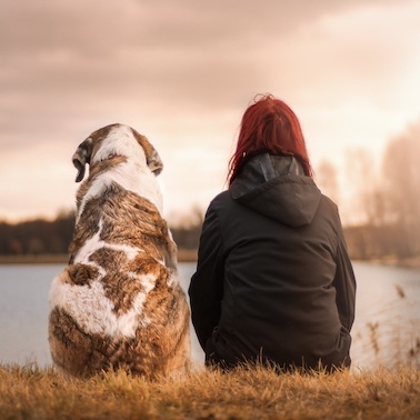Kommunikation zwischen Hund und Mensch