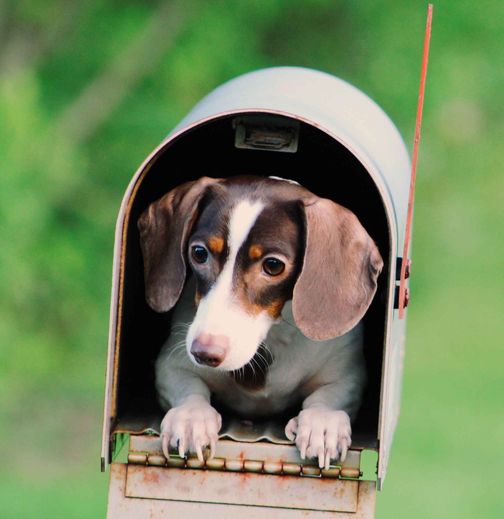 Schicken Sie mir eine mail oder rufen Sie mich an